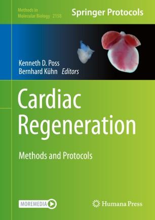 Cardiac Regeneration