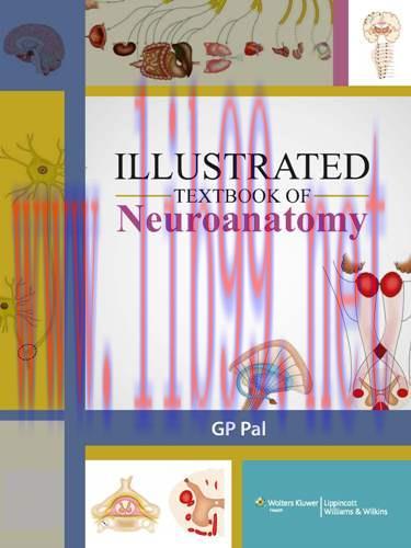 [AME]Illustrated Textbook of Neuroanatomy (LWW India)