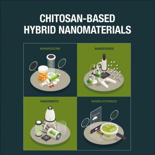 Chitosan-Based Hybrid Nanomaterials 1st Edition