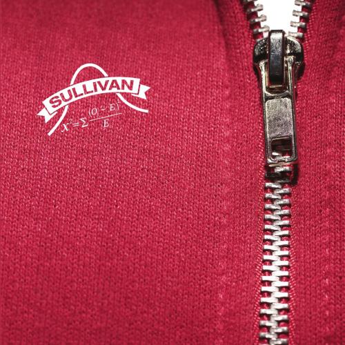 Fundamentals of Statistics 4th Edition Sullivan