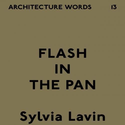 Architecture Words 13_ Flash in the Pan - Sylvia Lavin