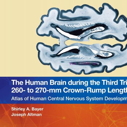 [AME]The Human Brain during the Third Trimester 260&ndash; to 270&ndash;mm Crown-Rump Lengths: Atlas of Cen...