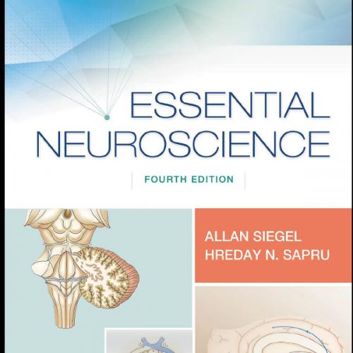 Essential Neuroscience Fourth Edition
