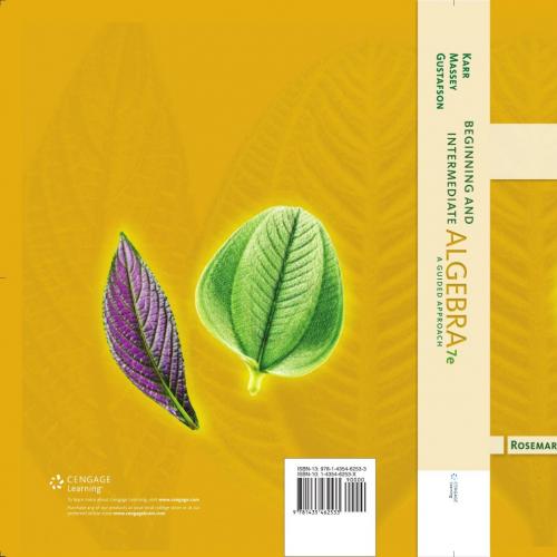 Beginning and Intermediate Algebra A Guided Approach 7th
