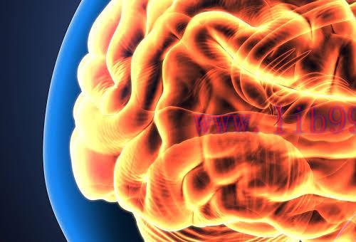 [AME]Harvard Neurology for the Non-Neurologist 2023 (Videos)