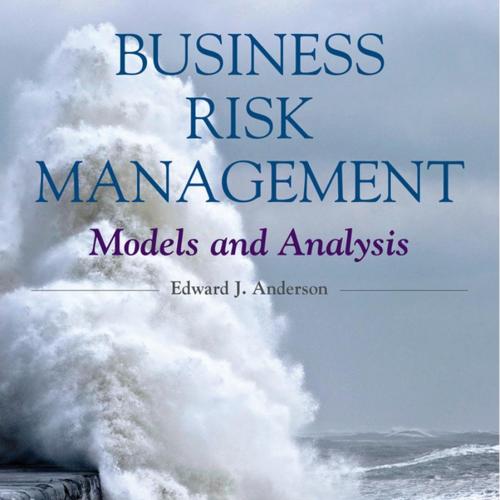 Business Risk Management