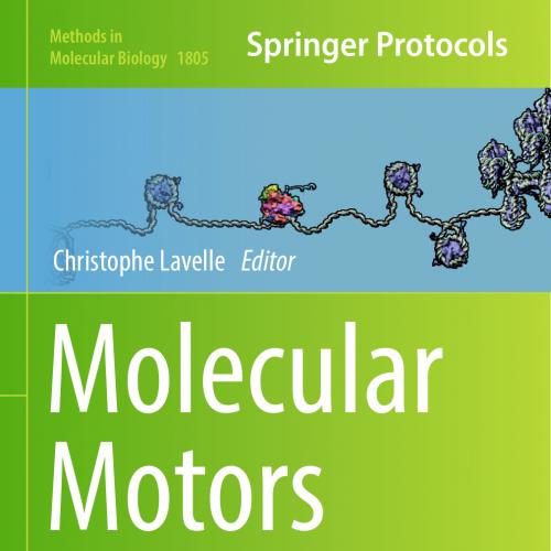 2018_Book_Molecular Motors
