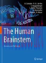 [PDF]The Human Brainstem: Anatomy and Pathology