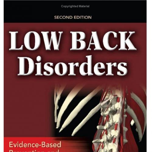 Low Back Disorders
