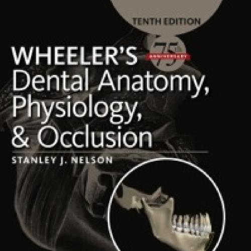 Wheeler's Dental Anatomy, Physiology and Occlusion, 10th (1)