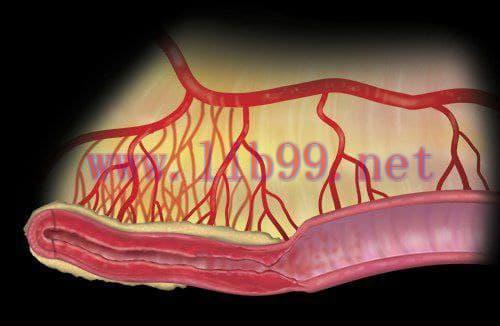 [AME]MRIOnline Imaging Mastery Series Crohn&rsquo;s Disease 2021 (CME VIDEOS)