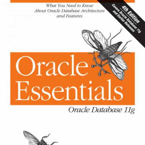 Rick Greenwald, Oracle Essentials