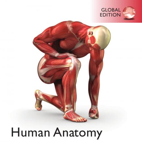 Human Anatomy 8th Global Edition