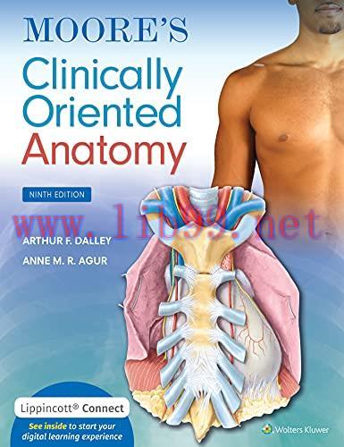 [AME]Moore's Clinically Oriented Anatomy, 9th Edition (EPUB3 + Converted PDF)