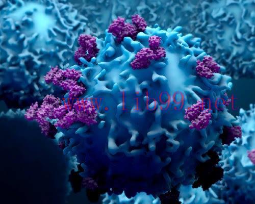 [AME]2022 Hematology and Medical Oncology Board Review (Videos)