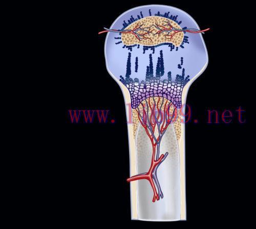 [AME]MRIOnline Imaging Mastery Series: Pediatric MSK 2019 (CME VIDEOS)