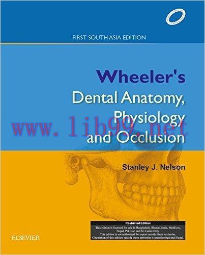 [AME]Wheeler&rsquo;s Dental Anatomy, Physiology and Occlusion-INTERNATIONAL EDITION (Original PDF)