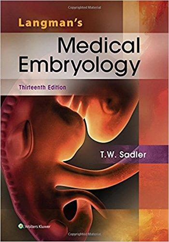 Langman&rsquo;s Medical Embryology, 13th Edition