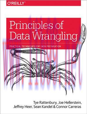 [SAIT-Ebook]Principles of Data Wrangling