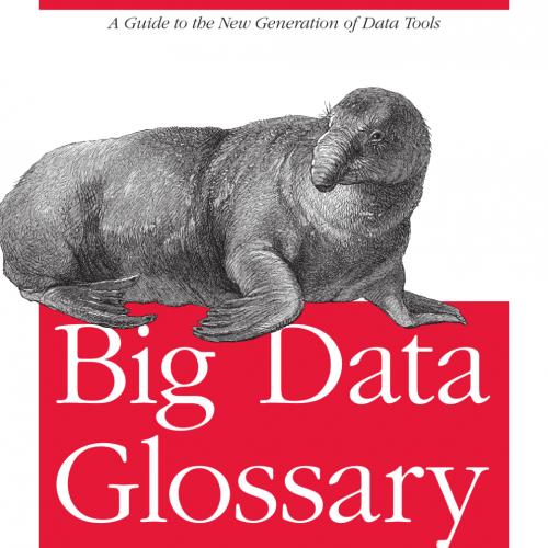 Big Data Glossary