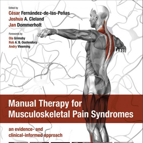 Manual Therapy for Musculoskeletal Pain Syndromes