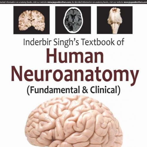 Inderbir Singh&rsquo;s Textbook of Human Neuroanatomy (Fundamental & Clinical) 10th Edition