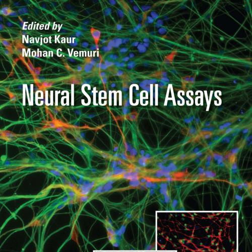 Neural Stem Cell Assays