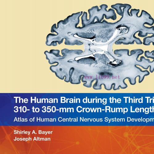 [AME]The Human Brain during the Third Trimester 310&ndash; to 350&ndash;mm Crown-Rump Lengths: Atlas of Cen...