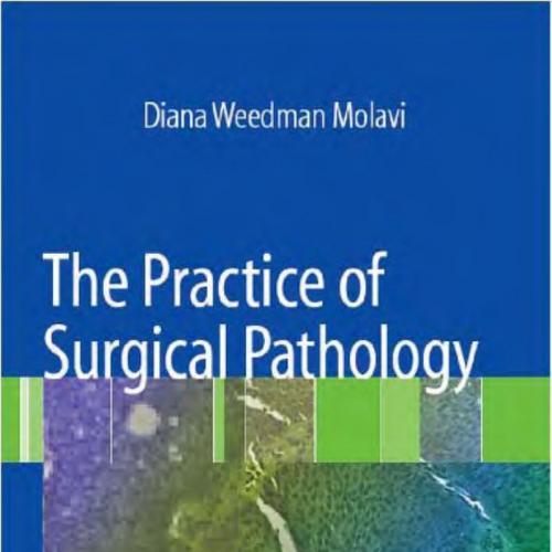 Practice of Surgical Pathology A Beginner's Guide to the Diagnostic Process, The - Wei Zhi