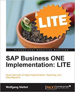 (PDF)SAP Business ONE Implementation LITE