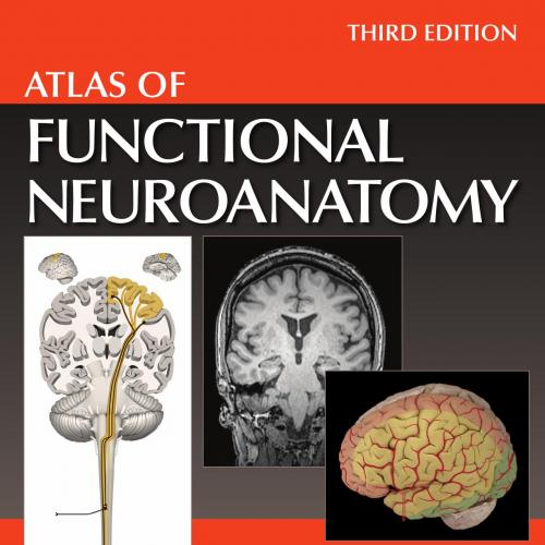 Atlas of Functional Neuroanatomy, Third Edition(Original PDF)