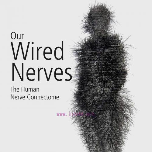 [AME]Our Wired Nerves: The Human Nerve Connectome (EPUB)
