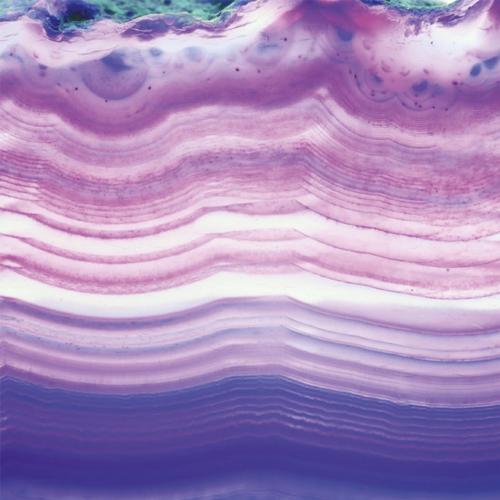 Understanding Ethics in Applied Behavior Analysis