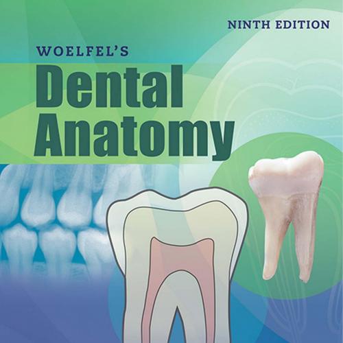 Woelfels Dental Anatomy 9th by Rickne C. Scheid, Gabriela Weiss - Wei Zhi