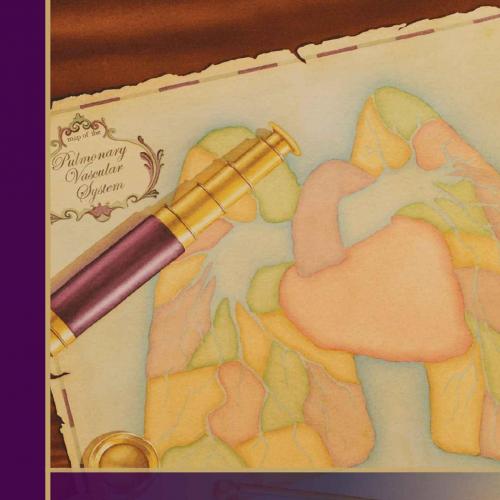 Pulmonary Hypertension A Patient's Survival Guide 5th - Gail Boyer Hayes - Gail Boyer Hayes