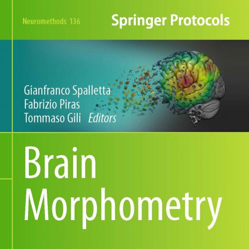 Brain Morphometry