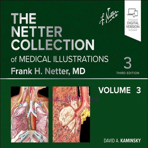 [AME]The Netter Collection of Medical Illustrations: Respiratory System, Volume 3, 3rd edition ...