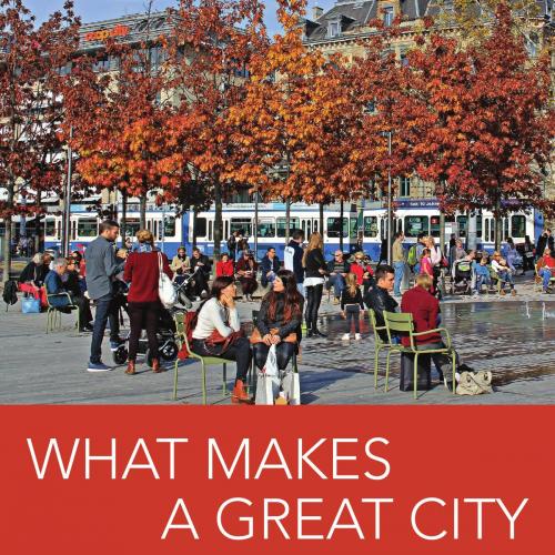 What Makes a Great City - Wei Zhi