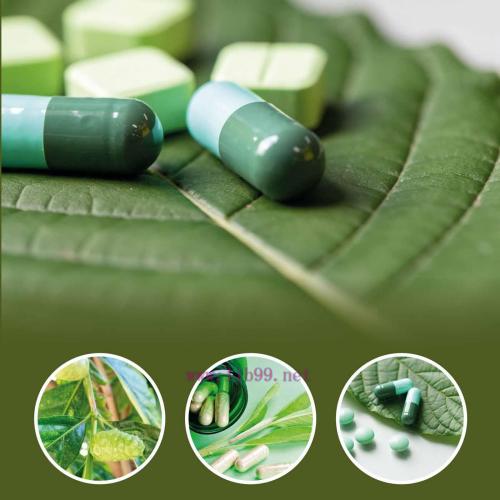 [AME]Tailor-Made Polysaccharides in Drug Delivery (EPUB)