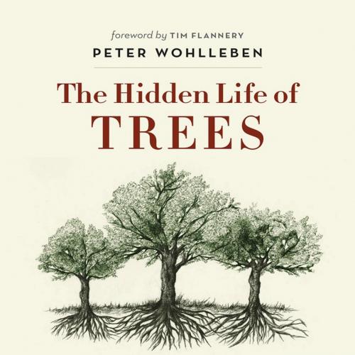 Hidden Life of Trees - Wohlleben, Peter;Flannery, Tim, The