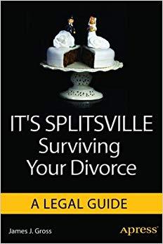 (PDF)It&rsquo;s Splitsville Surviving Your Divorce 1st ed. Edition