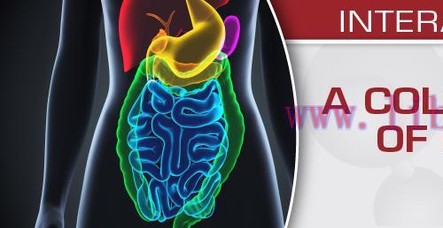[AME]USCAP A Colorful Cornucopia of Digestive Tract Pathology 2022 (CME VIDEOS)