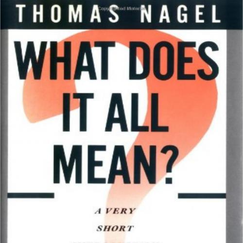 What Does It All Mean A Very Short Introduction to Philosophy