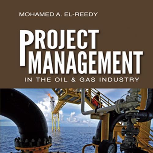 Project management in the oil and gas industry