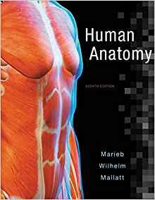 Human Anatomy, 8th Edition [Elaine N. Marieb] + Global Edn