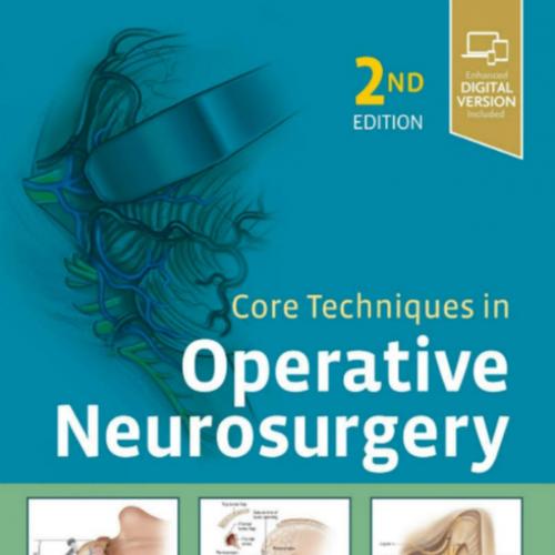 Core Techniques in Operative Neurosurgery 2nd