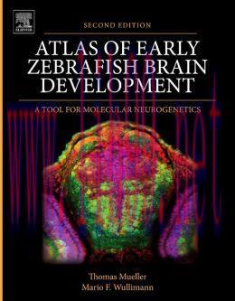[AME]Atlas of Early Zebrafish Brain Development: A Tool for Molecular Neurogenetics