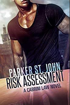 (PDF)Risk Assessment A Cabrini Law Novel
