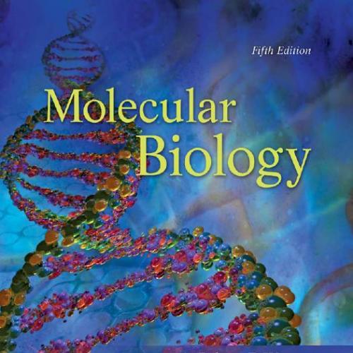 Molecular Biology 5th Edition Weaver