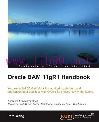 [FOX-Ebook]Oracle BAM 11gR1 Handbook